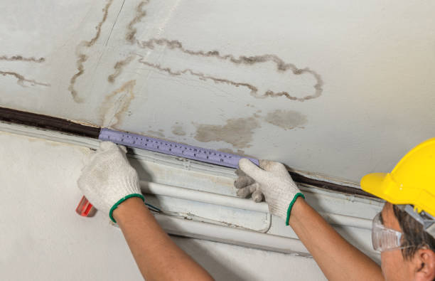 Reliable Flood Cleanup contractor in Gainesville, VA by Water Damage Irwin